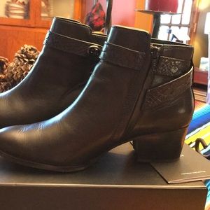 Coach Black booties